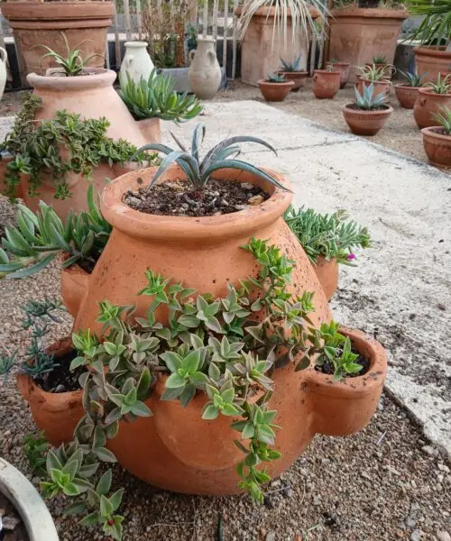 Jardinière en terre cuite avec plusieurs niches périphériques